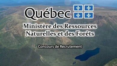 وزارة الموارد الطبيعية والحياة البرية الكندية تطلق حملة كبيرة للعمل لديها براتب $ 151،728