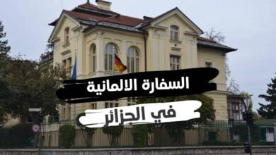 تبحث سفارة جمهورية ألمانيا الاتحادية في الجزائر عن موظفين