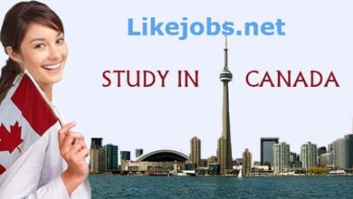 منحة دراسية في جامعة كندية معتمدة بدون بكالوريا للطلبة الأجانب