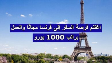 اغتنم فرصة السفر إلى فرنسا مجانًا والعمل براتب 1000 يورو