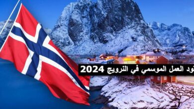 عقود العمل الموسمي في النرويج 2024 / التسجيل من هنا
