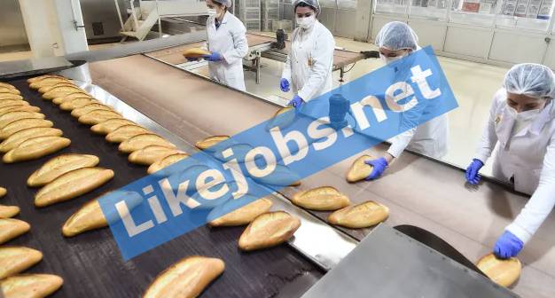 فرص عمل في مصنع الخبز بأستراليا براتب يصل الى 60 ألف دولار