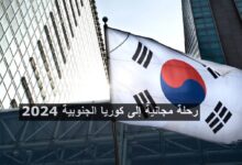 رحلة مجانية إلى كوريا الجنوبية 2024 مع إقامة 5 أسابيع