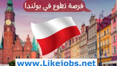 فرص تطوع في بولندا 2024 مع الاقامة وراتب شهري