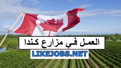 فرص عمل موسمية في مزارع كندا براتب يصل الى 20 دولار لساعة
