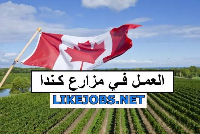 فرص عمل موسمية في مزارع كندا براتب يصل الى 20 دولار لساعة