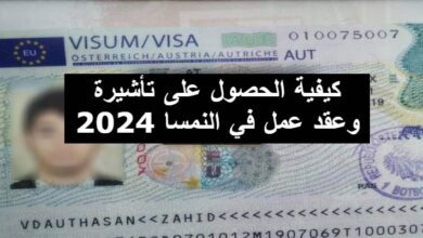 كيفية الحصول على تأشيرة وعقد عمل في النمسا 2024