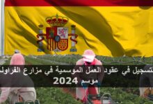 التسجيل في عقود العمل الموسمية في مزارع الفراولة موسم 2024