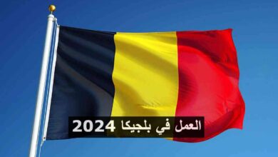فرصة عمل في بلجيكا براتب 6000 يورو لمتحدثي اللغة العربية