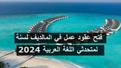 عقود عمل في المالديف لسنة 2024 لمتحدثي اللغة العربية
