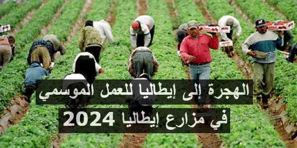 الهجرة للعمل الموسمي في مزارع إيطاليا 2024