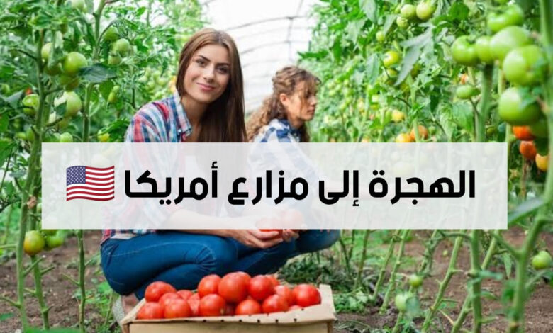 الهجرة للعمل الموسمي في مزارع أمريكا براتب 18 دولار في الساعة