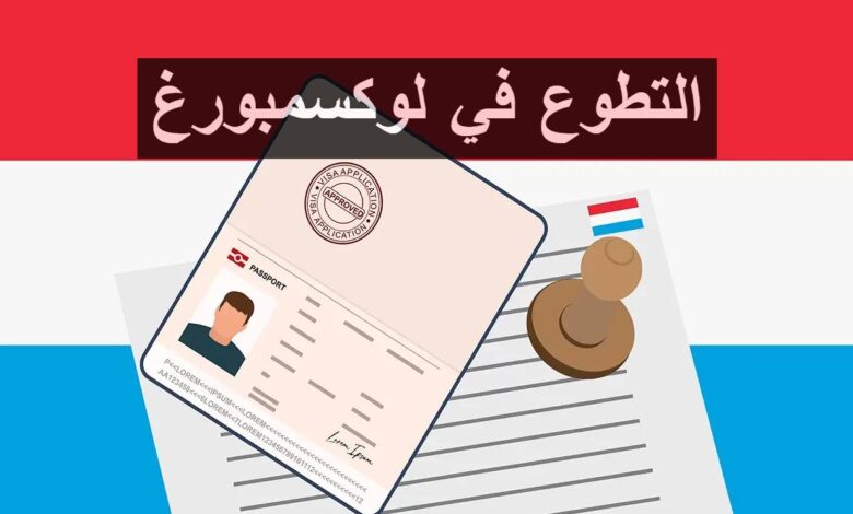 العمل التطوعي في لوكسمبورغ مع توفير الإقامة والراتب