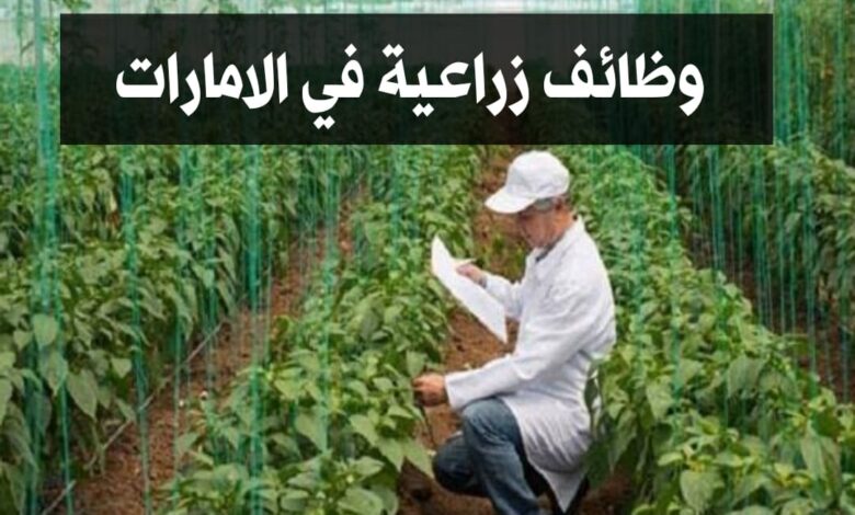 شركة زراعية في الامارات تبحث عن قاطفي فواكه