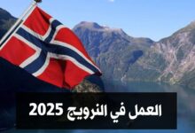 العمل في النرويج 2025 في مجال الرعاية الصحية