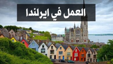 عقد عمل في شركة عالمية بدولة ايرلندا لمدة 12 شهر