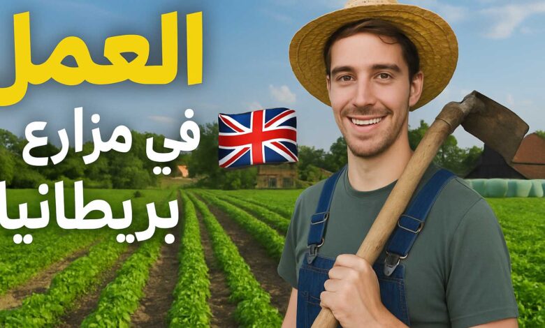 مزارع الطماطم في بريطانيا تفتح أبواب التوظيف: راتب محفز 1 مزارع الطماطم في بريطانيا تفتح أبواب التوظيف: راتب محفز