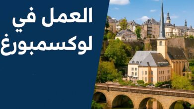عقد عمل لمدة 12 شهرا في لوكسمبورغ