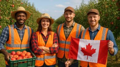 كندا تفتح باب التسجيل في عقود العمل الموسمية بمزارع الفاكهة لعام 2025