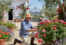 مطلوب عامل ماهر في البستنة بالبرتغال