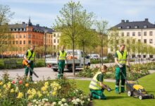 السويد تبحث عن عمال لنظافة وصيانة الحدائق – تقدم الآن