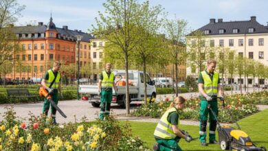 السويد تبحث عن عمال لنظافة وصيانة الحدائق – تقدم الآن