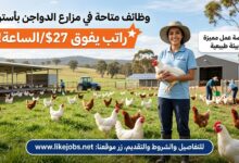 راتب يفوق 27 دولار للساعة.. وظائف متاحة في مزارع الدواجن بأستراليا