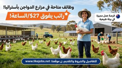 راتب يفوق 27 دولار للساعة.. وظائف متاحة في مزارع الدواجن بأستراليا