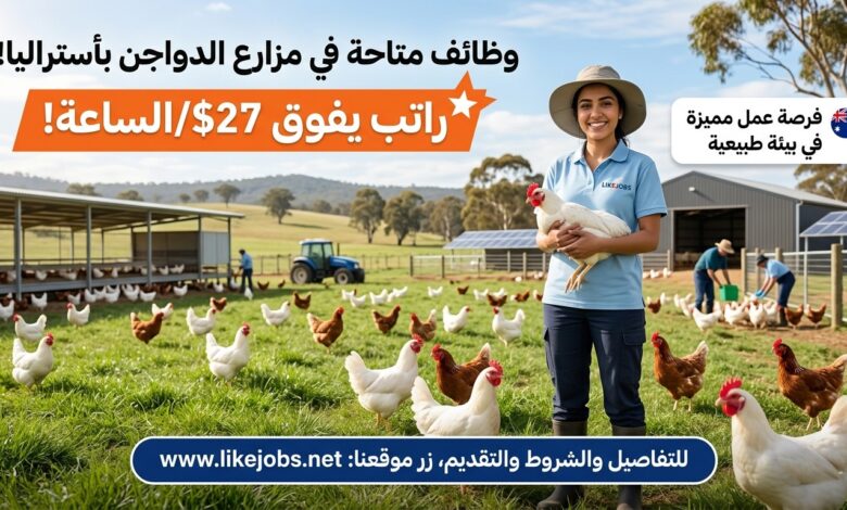 راتب يفوق 27 دولار للساعة.. وظائف متاحة في مزارع الدواجن بأستراليا