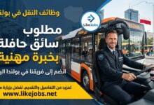 وظائف النقل في بولندا: مطلوب سائق حافلة بخبرة مهنية