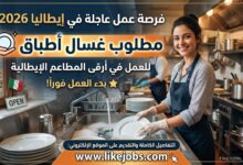 عقد عمل في إيطاليا 2026: مطلوب غسال أطباق بشكل عاجل