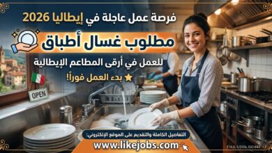 عقد عمل في إيطاليا 2026: مطلوب غسال أطباق بشكل عاجل