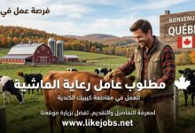 مطلوب عامل رعاية الماشية للعمل في مقاطعة كيبيك الكندية