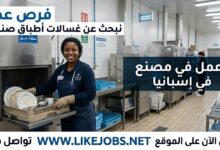 مطلوب غسالة أطباق في مصنع باسبانيا