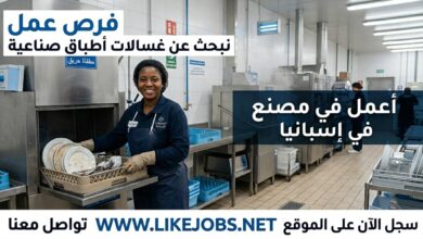 مطلوب غسالة أطباق في مصنع باسبانيا