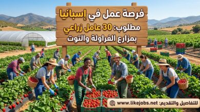 فرصة عمل في إسبانيا: مطلوب 30 عامل زراعي بمزارع الفراولة والتوت