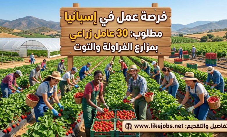 فرصة عمل في إسبانيا: مطلوب 30 عامل زراعي بمزارع الفراولة والتوت
