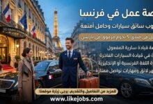 فرصة عمل في فرنسا: مطلوب سائق سيارات وحامل أمتعة بفندق 5 نجوم.