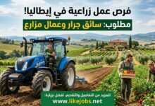 وظائف زراعية في إيطاليا.. مطلوب سائق جرار وعمال مزارع.