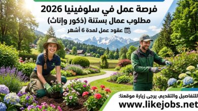 وظائف في سلوفينيا 2026: مطلوب عمال بستنة (ذكور وإناث) بعقود عمل لمدة 6 أشهر