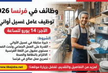 وظائف في فرنسا 2026: توظيف عامل غسيل أواني بأجر 14 يورو للساعة