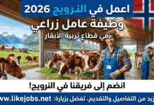 اعمل في النرويج 2026: وظيفة عامل زراعي في قطاع تربية الأبقار
