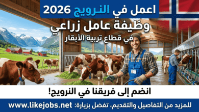 اعمل في النرويج 2026: وظيفة عامل زراعي في قطاع تربية الأبقار