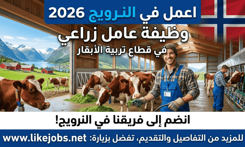 اعمل في النرويج 2026: وظيفة عامل زراعي في قطاع تربية الأبقار
