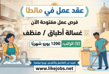 عقد عمل في مالطا: مطلوب غسالة أطباق ومنظف مع راتب 1200 يورو