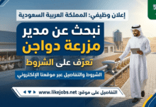 السعودية تعلن عن وظيفة مدير مزرعة دواجن.. تعرف على الشروط