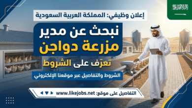 السعودية تعلن عن وظيفة مدير مزرعة دواجن.. تعرف على الشروط