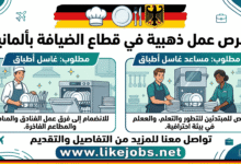 فرص عمل بألمانيا في قطاع الضيافة.. مطلوب غاسل أطباق ومساعد غاسل أطباق