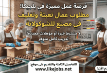 فرصة عمل في بلجيكا: مطلوب عمال تعبئة وتغليف في مصنع للشوكولاتة