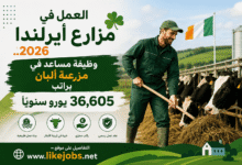 العمل في مزارع أيرلندا 2026.. وظيفة مساعد في مزرعة ألبان براتب 36,605 يورو سنويًا
